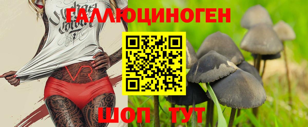 купить  сайты  Галлюциногенные грибы MAGIC MUSHROOMS  Вход с VPN  Россия 