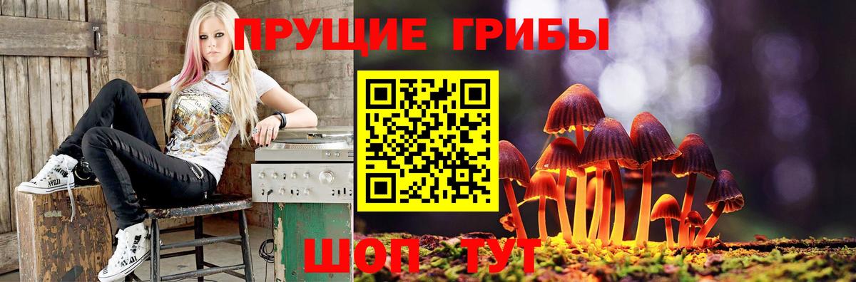 Галлюциногенные грибы прущие грибы Россия